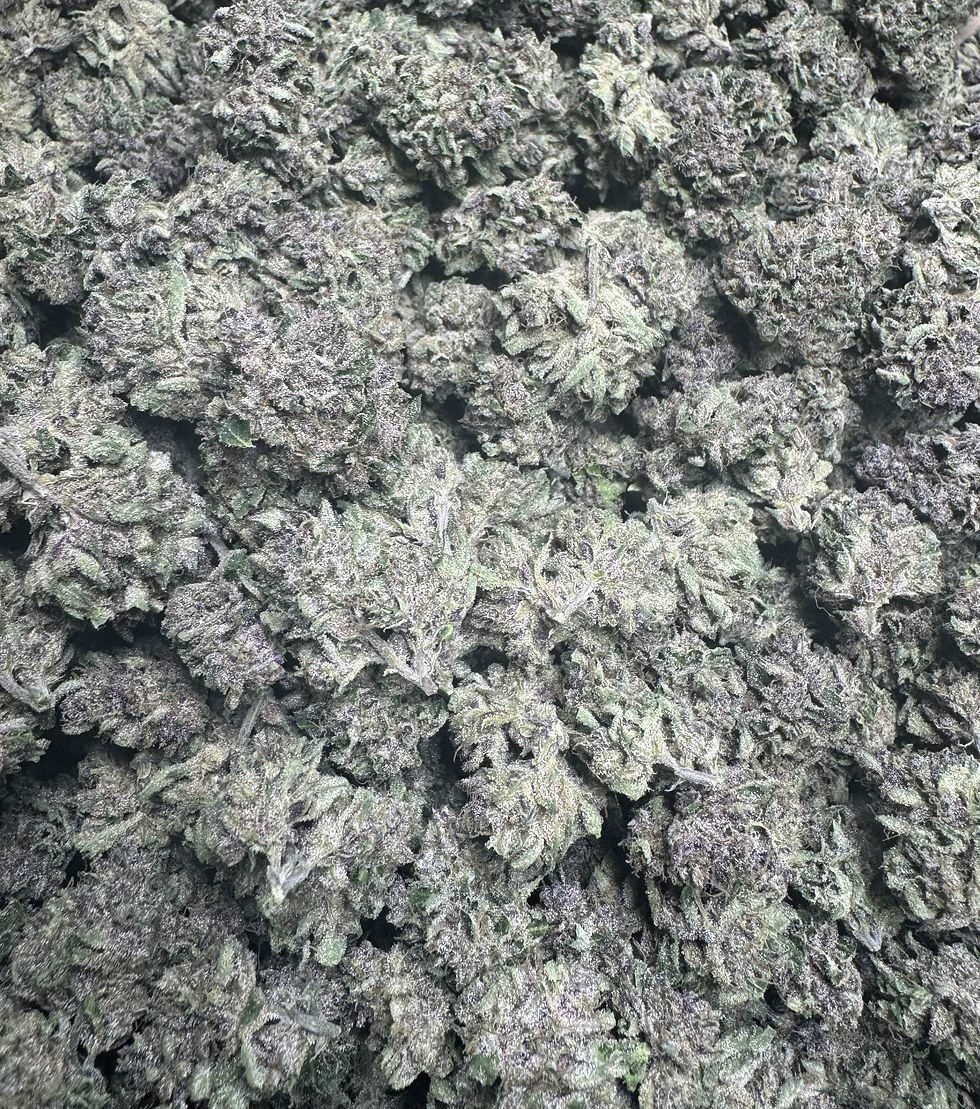 mound of bud 1 .jpg
