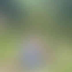 children sliding down a grass hill in the countryside