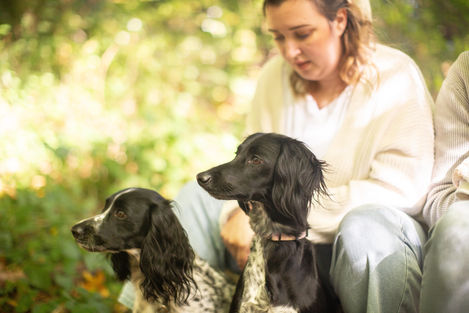 pet-portrait-outdoors-woodland-kent-autumn