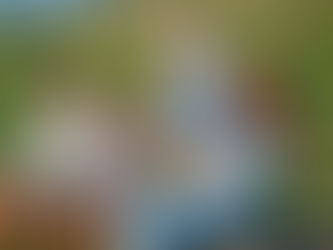 family of four sit on bench in the countryside 