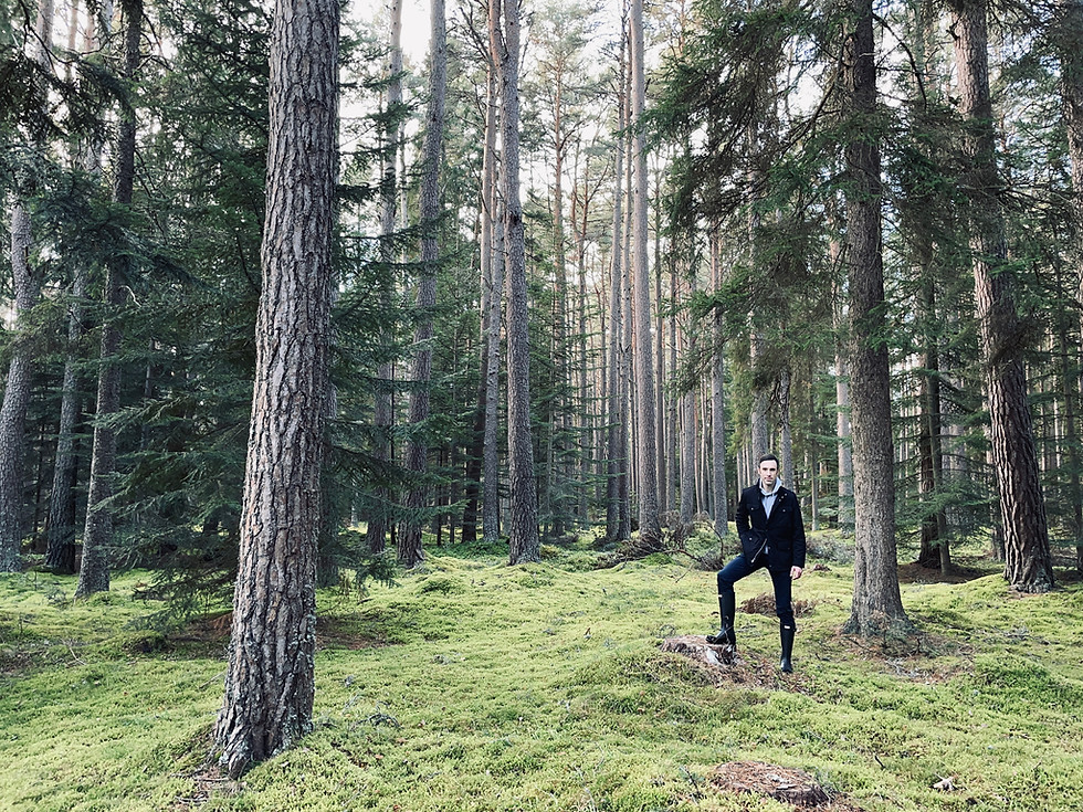 ryan_balmoral forest_filtered.jpg