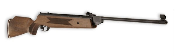 Hatsan 55S F