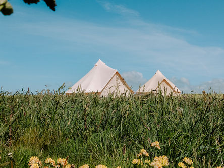 Bell Tents for a wedding in a wild meadow in Cornwall