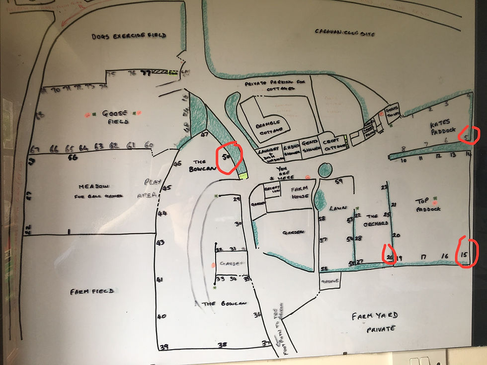 Map of the layout of Beacon Cottage Farm Campsite