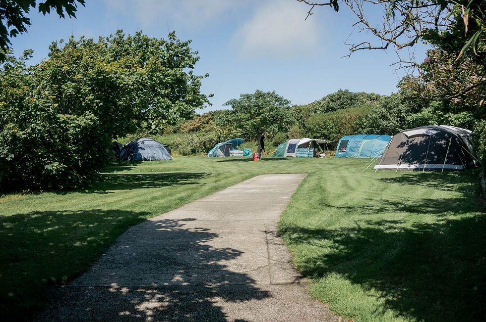 Top paddock at Beacon Cottage Farm Campsite