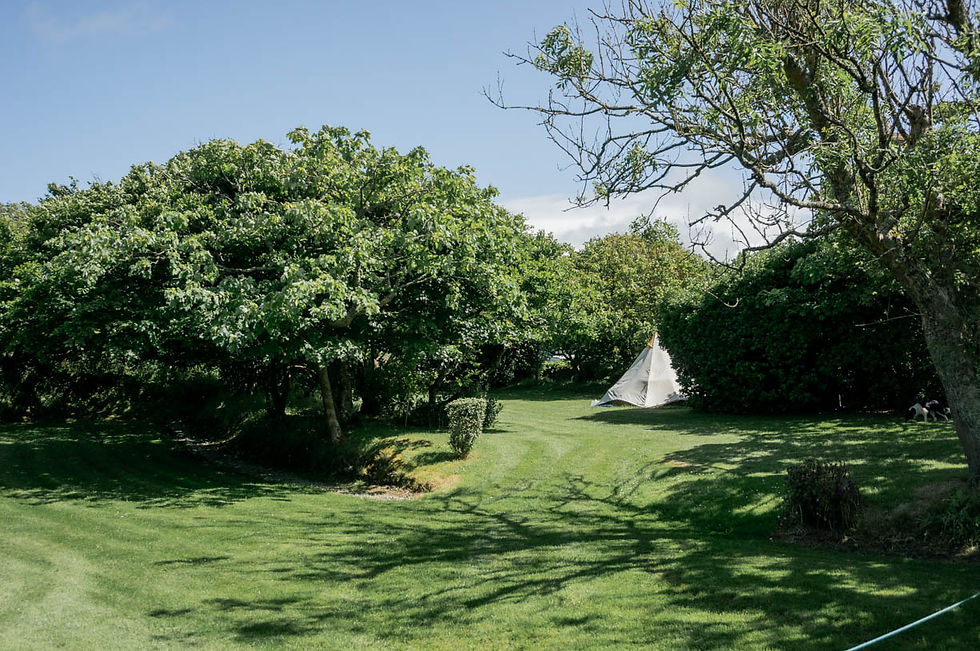 Garden Paddock Beacon Cottage Farm Campsite