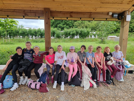 🌲 Wildlands, Wild Smiles: 3rd Class Conquers Galway’s Ultimate Adventure!