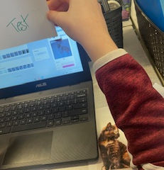 Science Week Sparks Curiosity in Every Classroom!