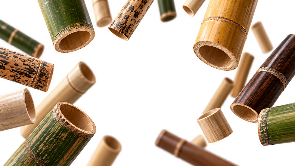 Fragmentos de bambú flotantes sobre transparencia.png