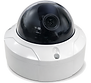100pi Vandal Dome Camera