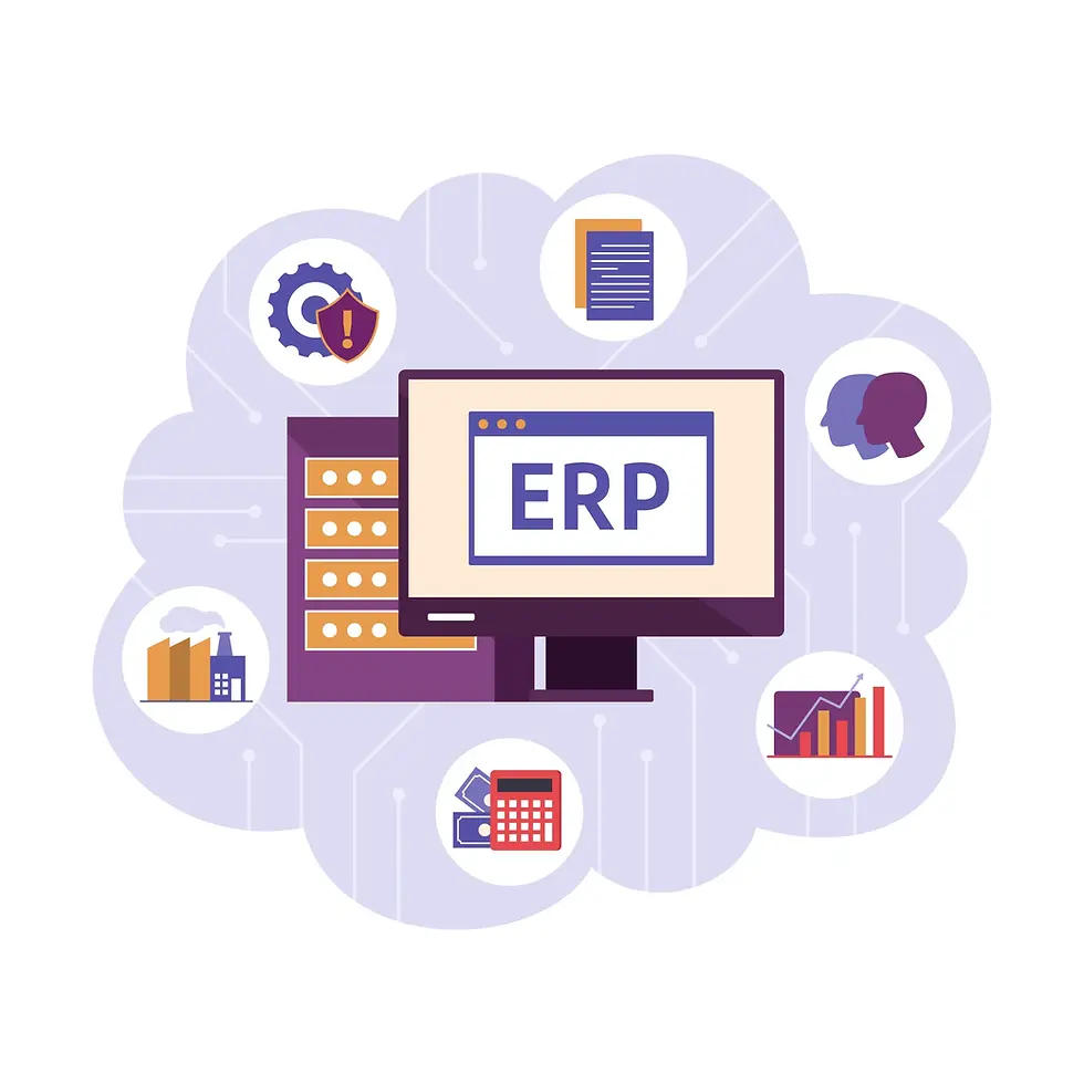 System Integration & ERP Solutions.webp