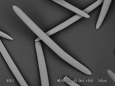 spicule_2.jpeg