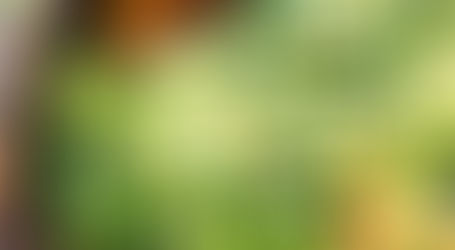 Garlic Zucchini Noodles