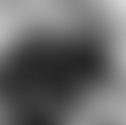 Entrevista en el diario La mañana de Neuquén