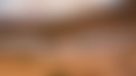 PSJ comienza a mapear oficios en Uspallata y activa la variable empleo en su hoja de ruta