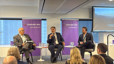 PSJ Cobre Mendocino presentó su postulación al RIGI por US$630 millones