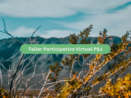 PSJ abre la inscripción a su Taller Participativo Virtual