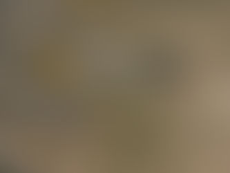 Jaguar completó un muestreo de superficie en Huemul