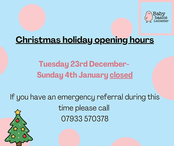 christmas holidays.jpeg