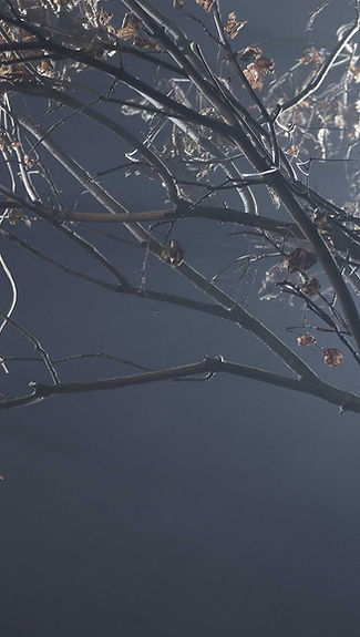 Susan Weinstein psychiatrist,Susan Weinstein child psychiatrist,Susan Weinstein Ardsley psychiatrist