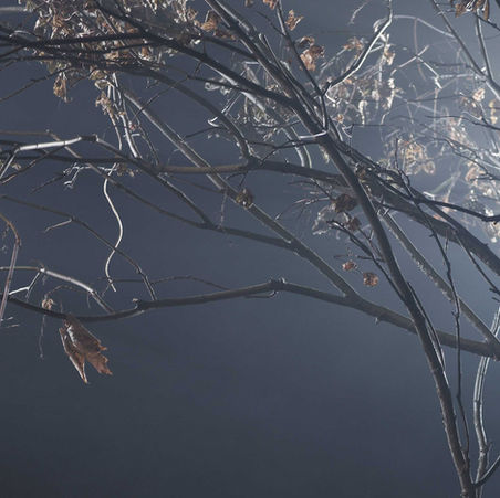 Who is Spiritual Direction for?