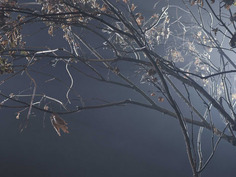 Tips for Reducing Holiday Stress