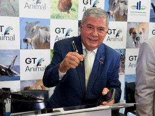 Deputado Mário Motta articula em Brasília apoio para a federalização do Caso Orelha