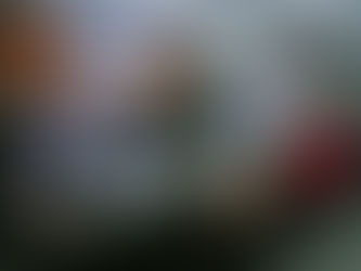 Seminário aborda a incidência de doença que acomete gatos em Santa Catarina