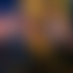 Deputado Mário Motta participa da abertura oficial da 12ª Vindima de Altitude em São Joaquim e homenageia produtores da Serra Catarinense