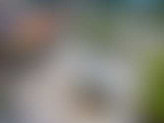 Feirão reúne serviços públicos e oportunidades no centro de Florianópolis