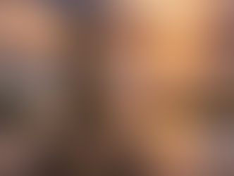 Iniciativa do deputado Mário Motta busca eternizar memória do cão Orelha com monumento na Praia Brava