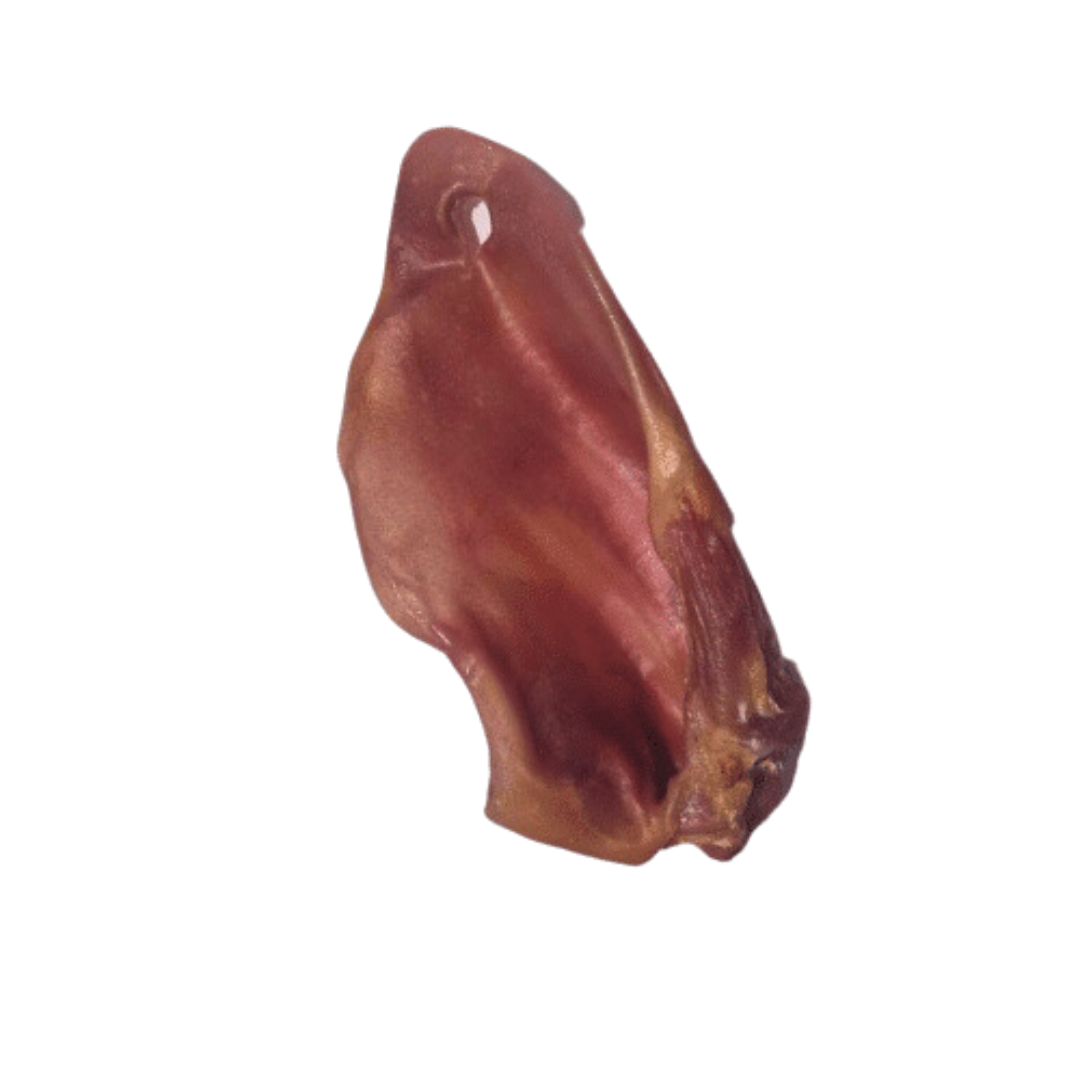 Oreilles de porc L où XXL