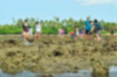 loola-bintan-flat-sea
