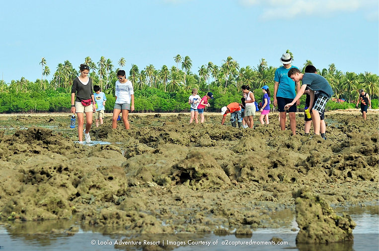loola-bintan-flat-sea