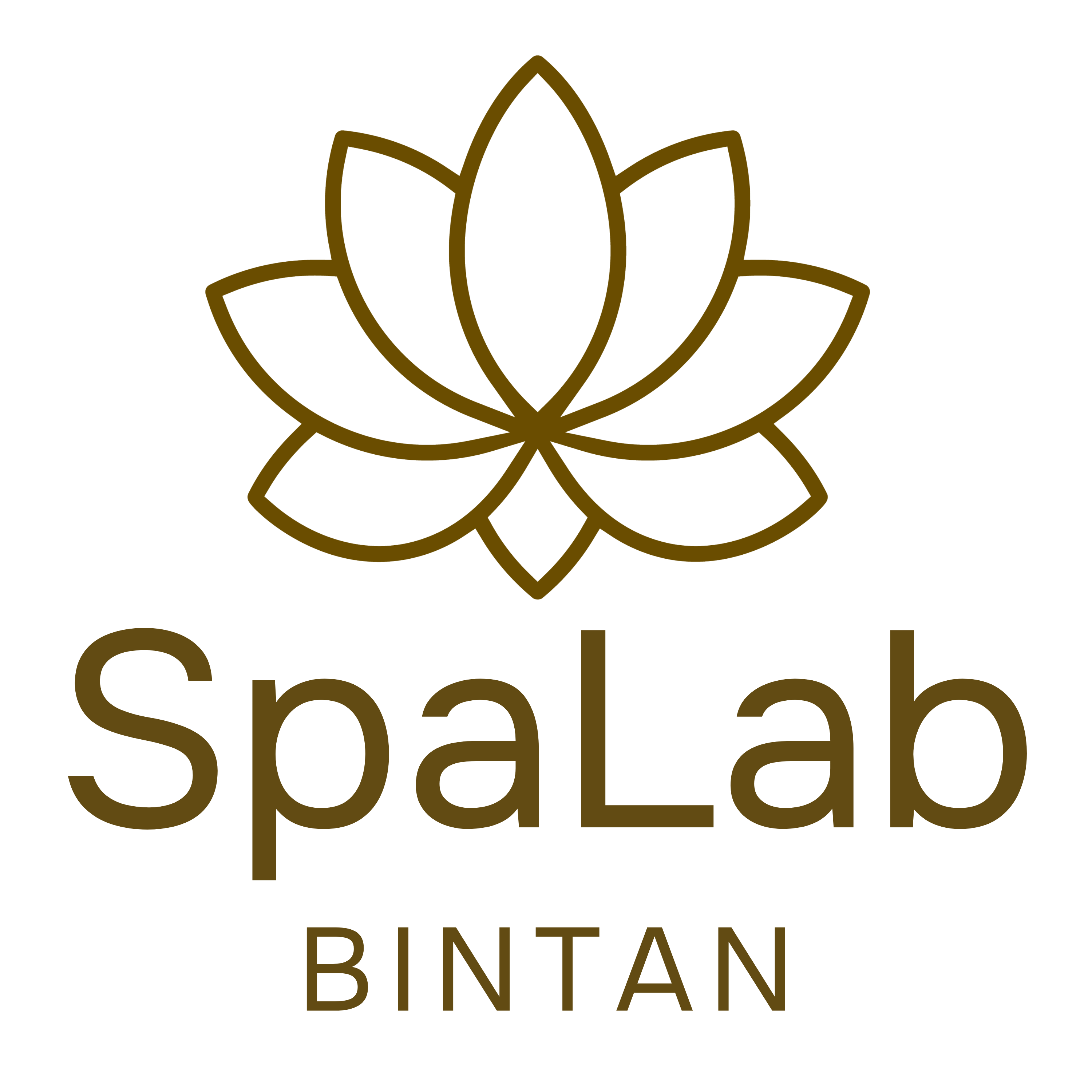 spalab logo(final).png