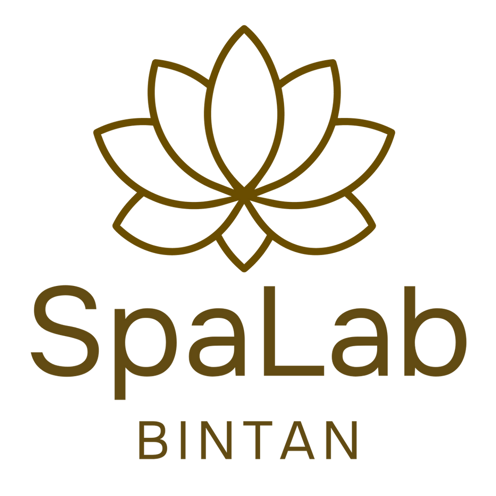 spalab logo(final).png