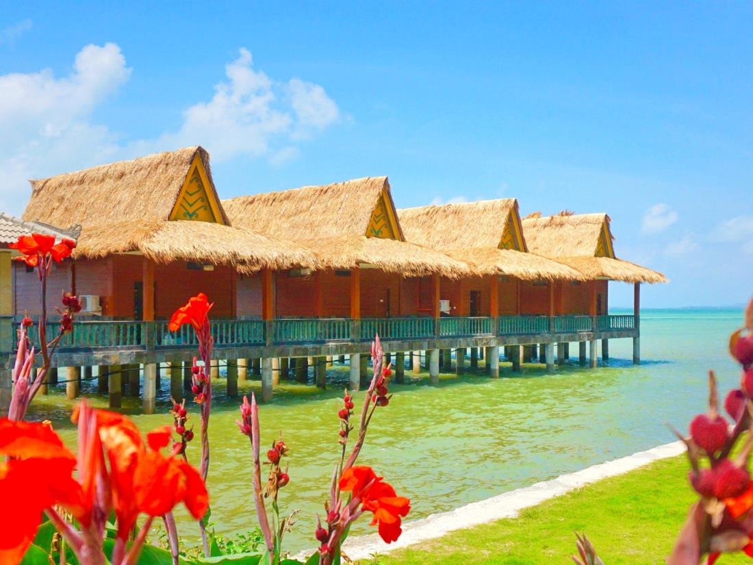 Krishna beach resort and spa 3