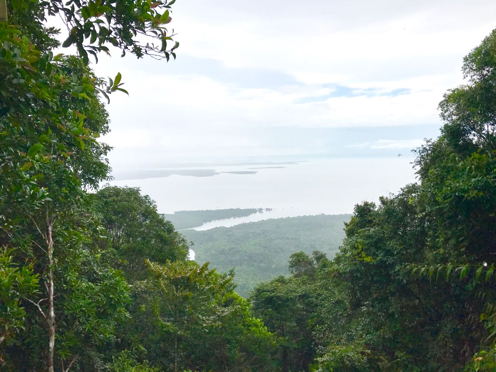 Trekking @ Bintan Mountain