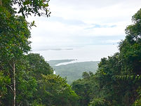 Hiking Challenge 登山挑战 9.jpeg