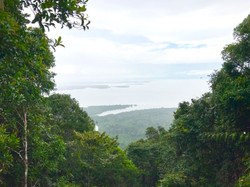 Trekking @ Bintan Mountain