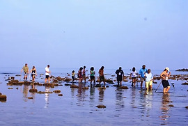 desaru-beach-walk-1.jpg