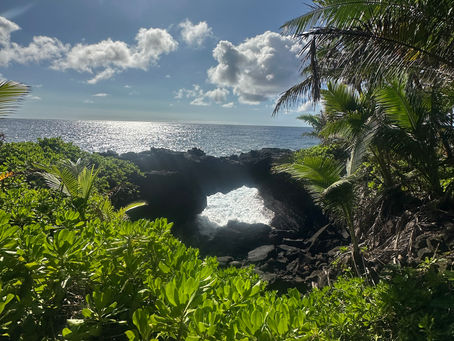 💳 What to Do When the Annual Fee Hits — Two Options