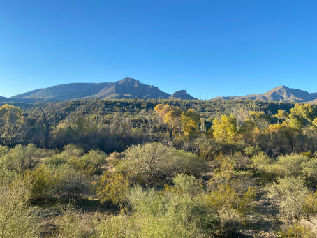 Zero Annual Fee Cards with THE good points