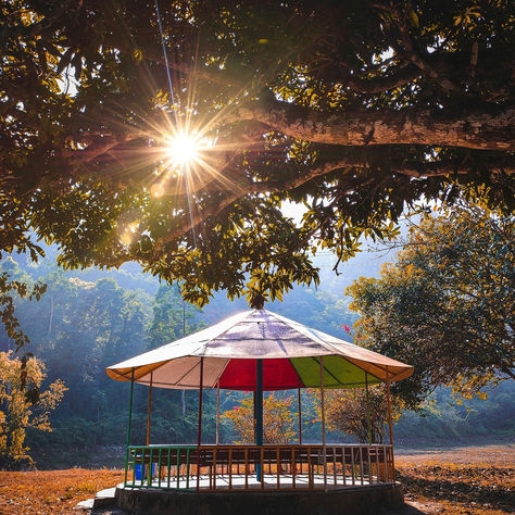 Discovering the Beauty of Rohini, Kurseong.