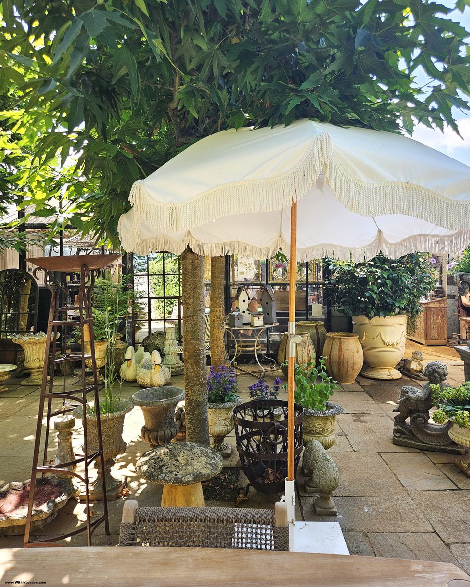 White fringed parasol shading a courtyard crowded with terracotta pots, stone urns and green plants