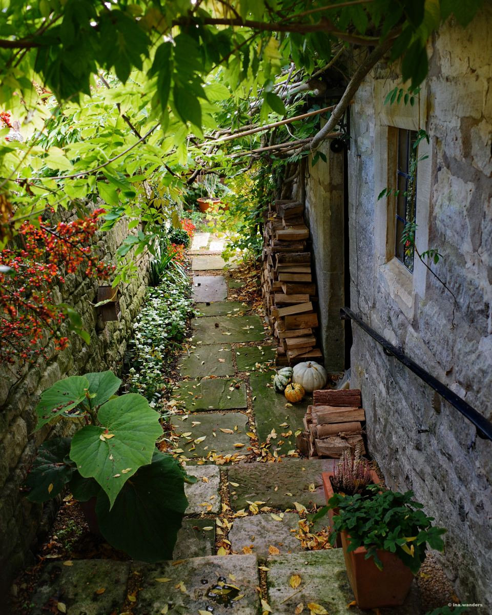 Narrow flagged passage beside a stone wall with stacked logs, clay pots and a large green leaf