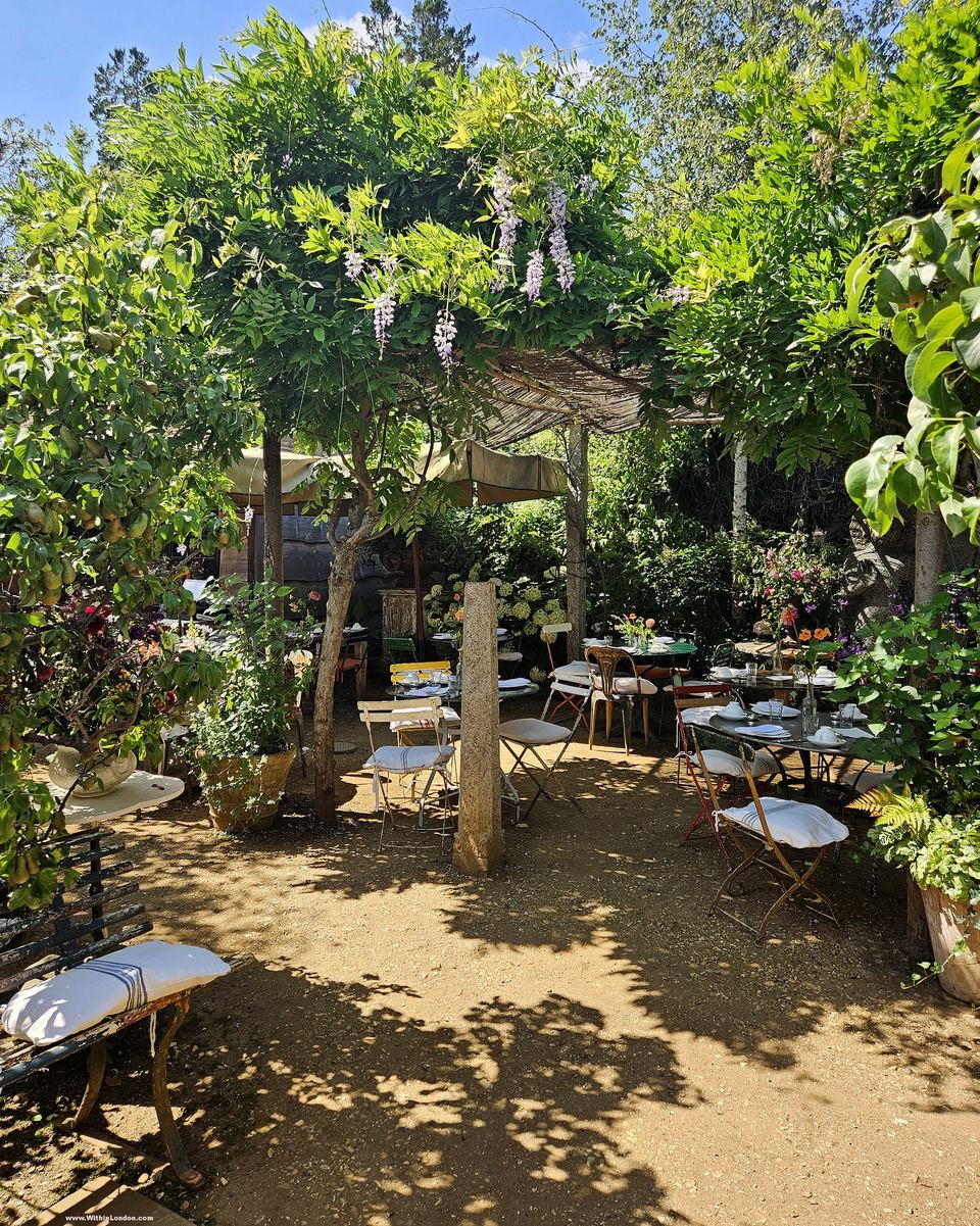 Outdoor garden with café tables under a pergola covered in wisteria leaves, against a blue sky