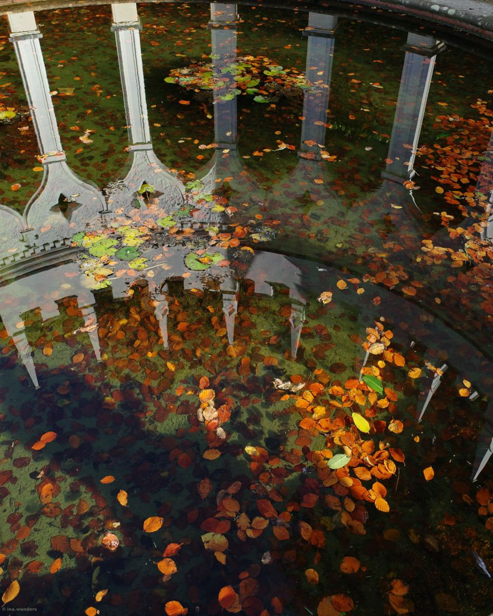 White Gothic arches reflected in a pond scattered with fallen orange and brown leaves