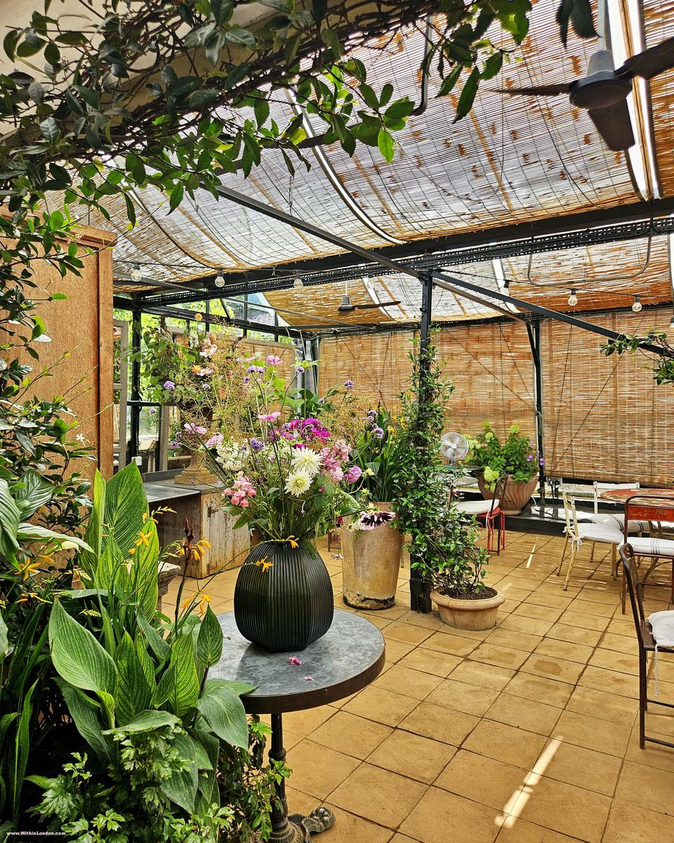 Corner of a glasshouse with a black vase of pink flowers on a small round table, tall plants and bamboo blinds above
