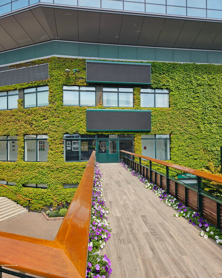 Wooden walkway lined with flower planters leading to an ivy-clad building at the All England Club